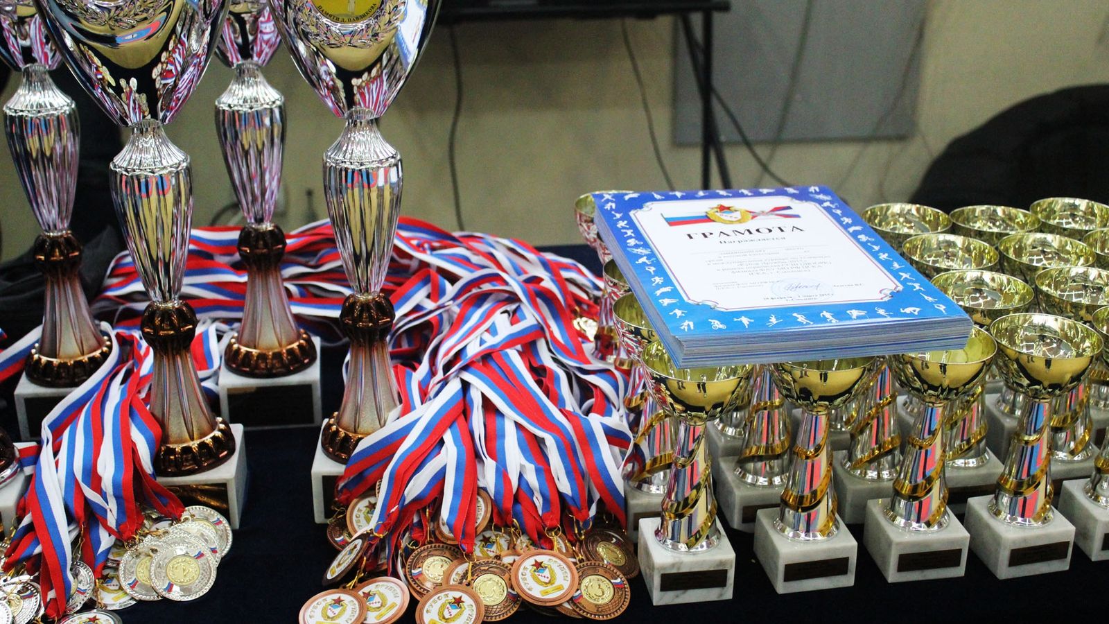 В Смоленске пройдет Х международный турнир по тхэквондо «Кубок Дружбы»