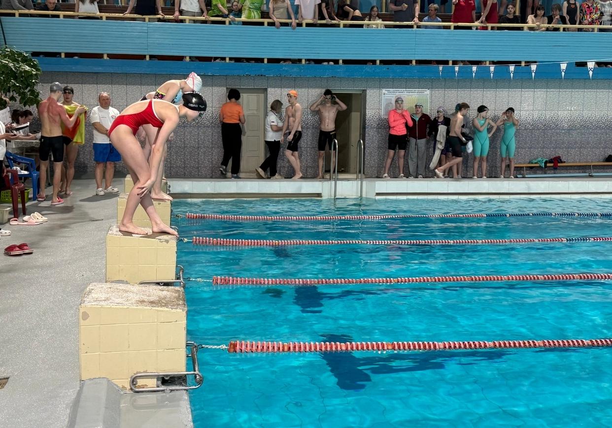 У армейцев два золота на Кубке Владимирской области по плаванию