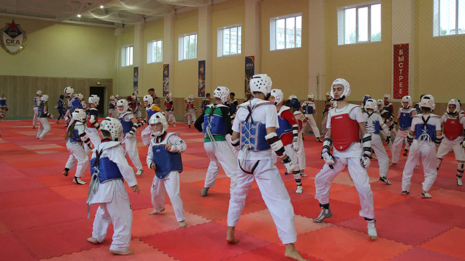 В Смоленске прошли международные сборы по тхэквондо