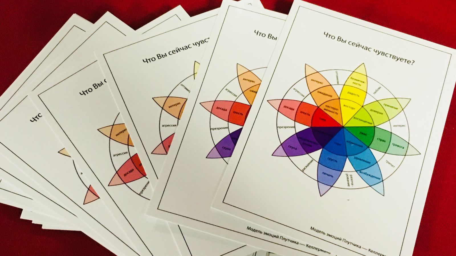 "Родители и дети в спорте": в ЦСКА прошел семинар посвященный вопросам питания юных спортсменов