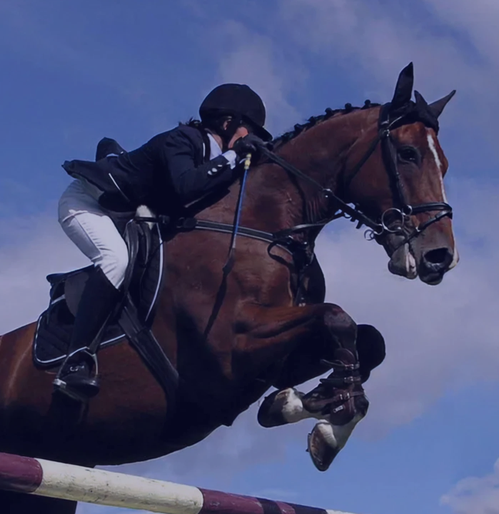 Конный спорт