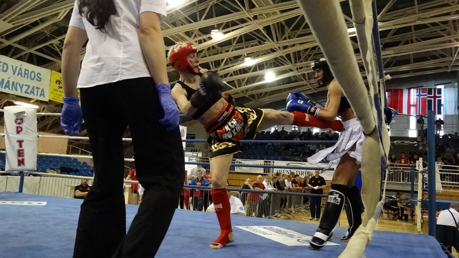 Спортсмены ЦСКА выступят на венгерском этапе Кубка Мира по кикбоксингу