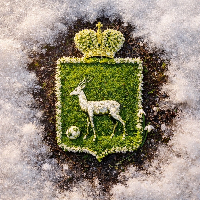 Золото всероссийских соревнований у воспитанников СШОР № 17