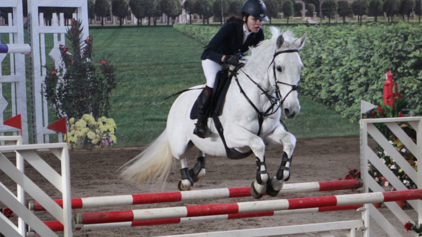 Кубок ЦСКА по конкуру в День защитника Отечества!