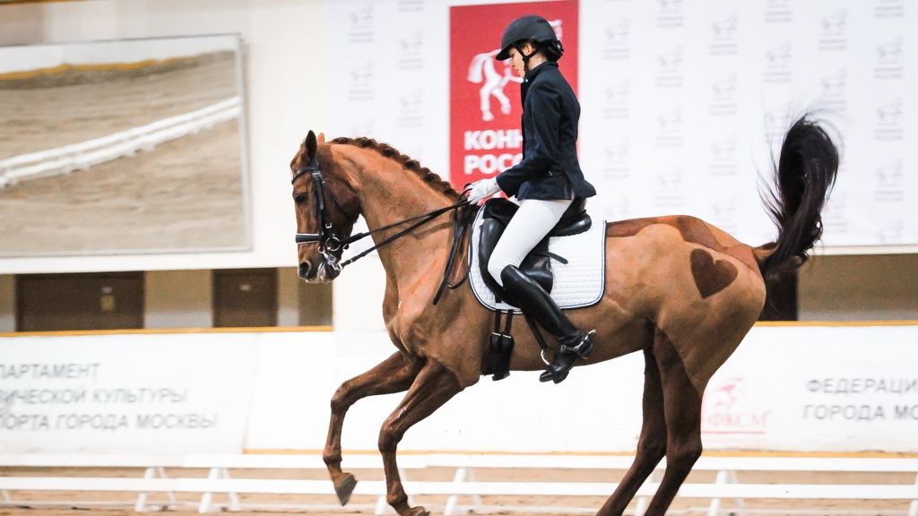 Всадники ЦСКА начали выступление на первенстве Москвы-2017 по выездке