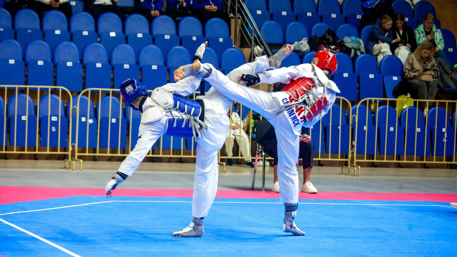 Смоленские тхэквондисты завоевали 10 медалей на всероссийских соревнованиях