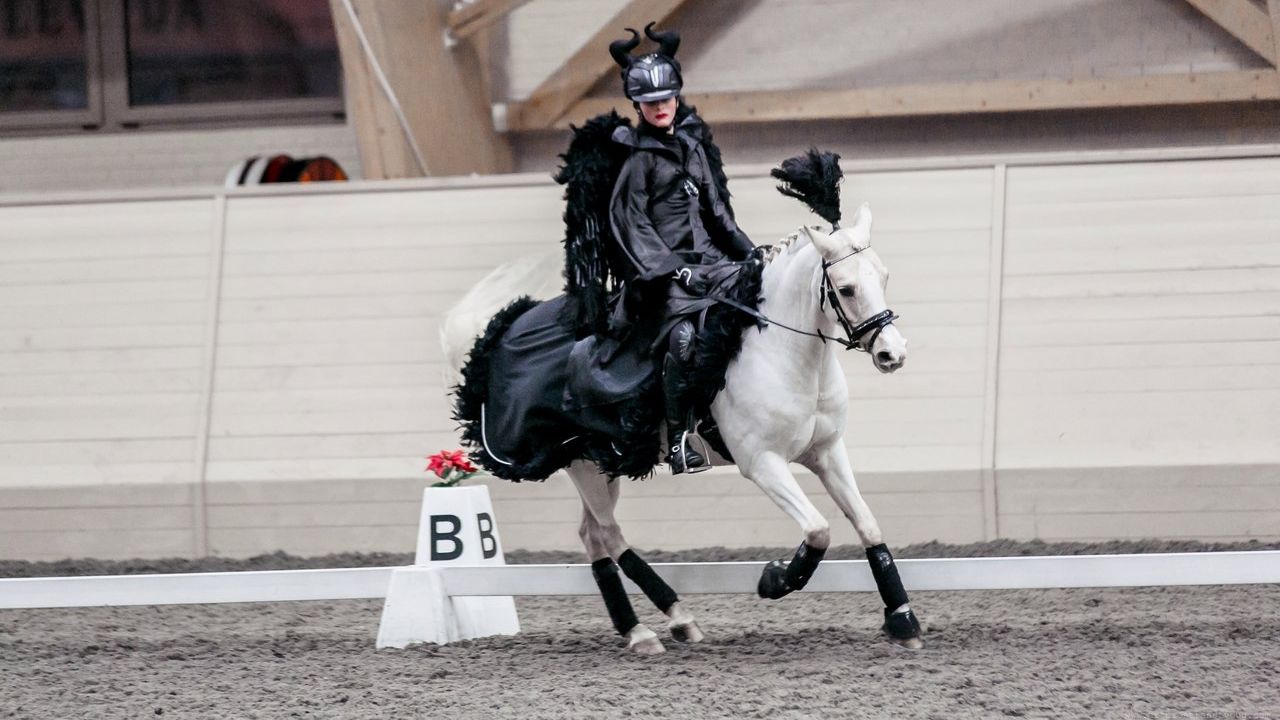 На конноспортивной базе ЦСКА прошло Открытое первенство Клуба по конному спорту