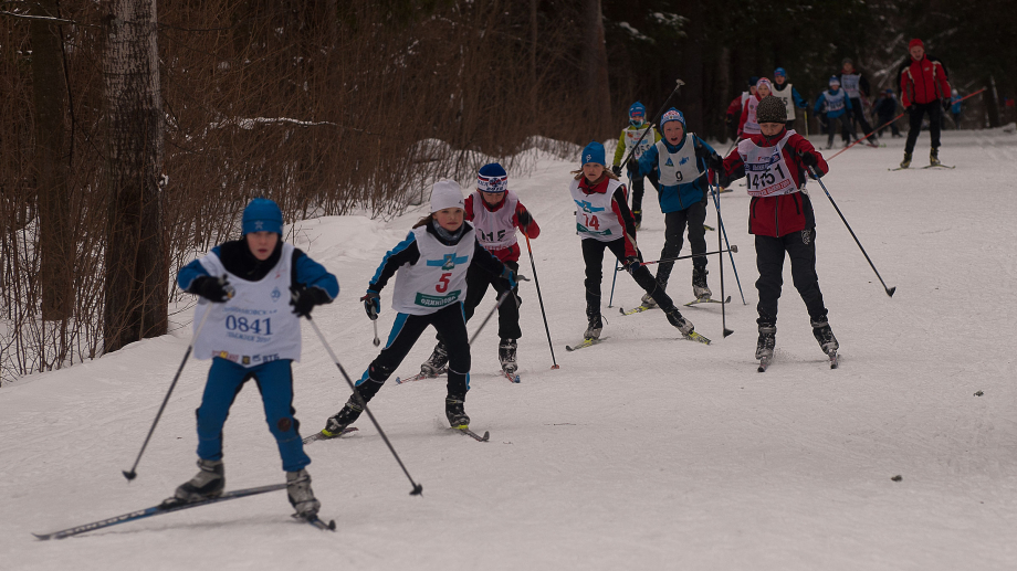 Спортивная команда (по зимним видам спорта) ФАУ МО РФ ЦСКА – лыжные гонки