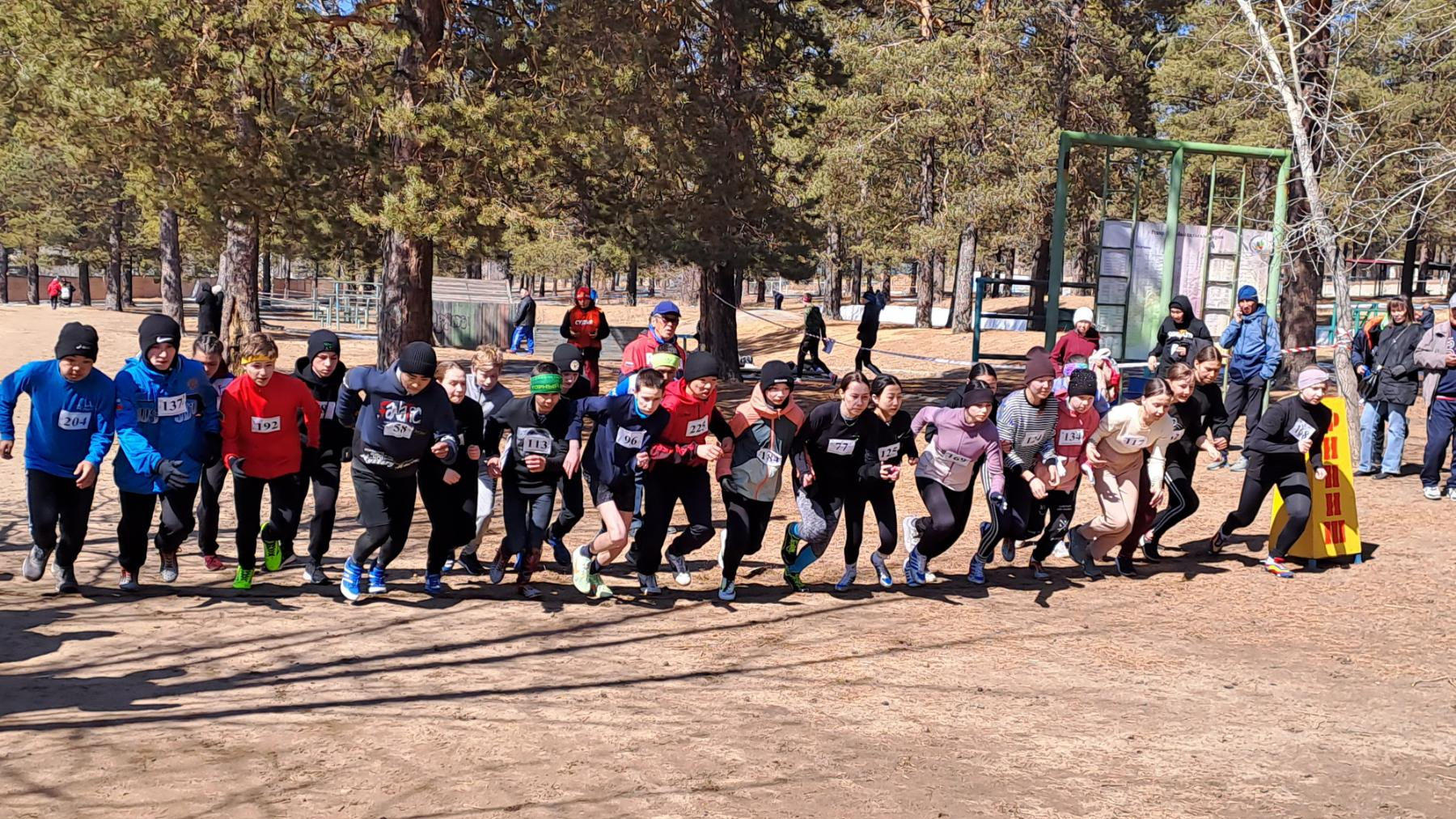 На Первенстве Забайкалья по кроссу легкоатлеты СШ (ОРК) СЦ (г. Чита) филиала ЦСКА/Хабаровск завоевали 13 медалей