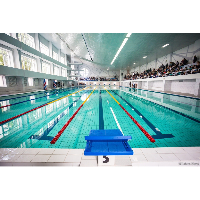 Чемпионат Калининградской области по плаванию