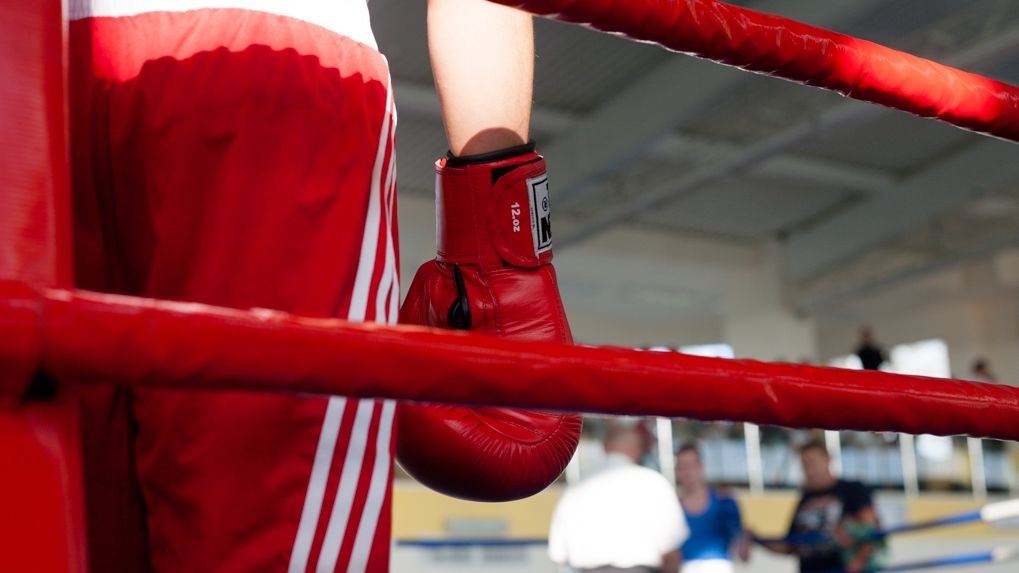 Армейские боксеры завоевали три награды на IX летней Спартакиаде учащихся России в Раменском