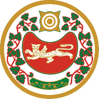 Юный спортсмен из Хакасии взял серебро на первенстве СФО