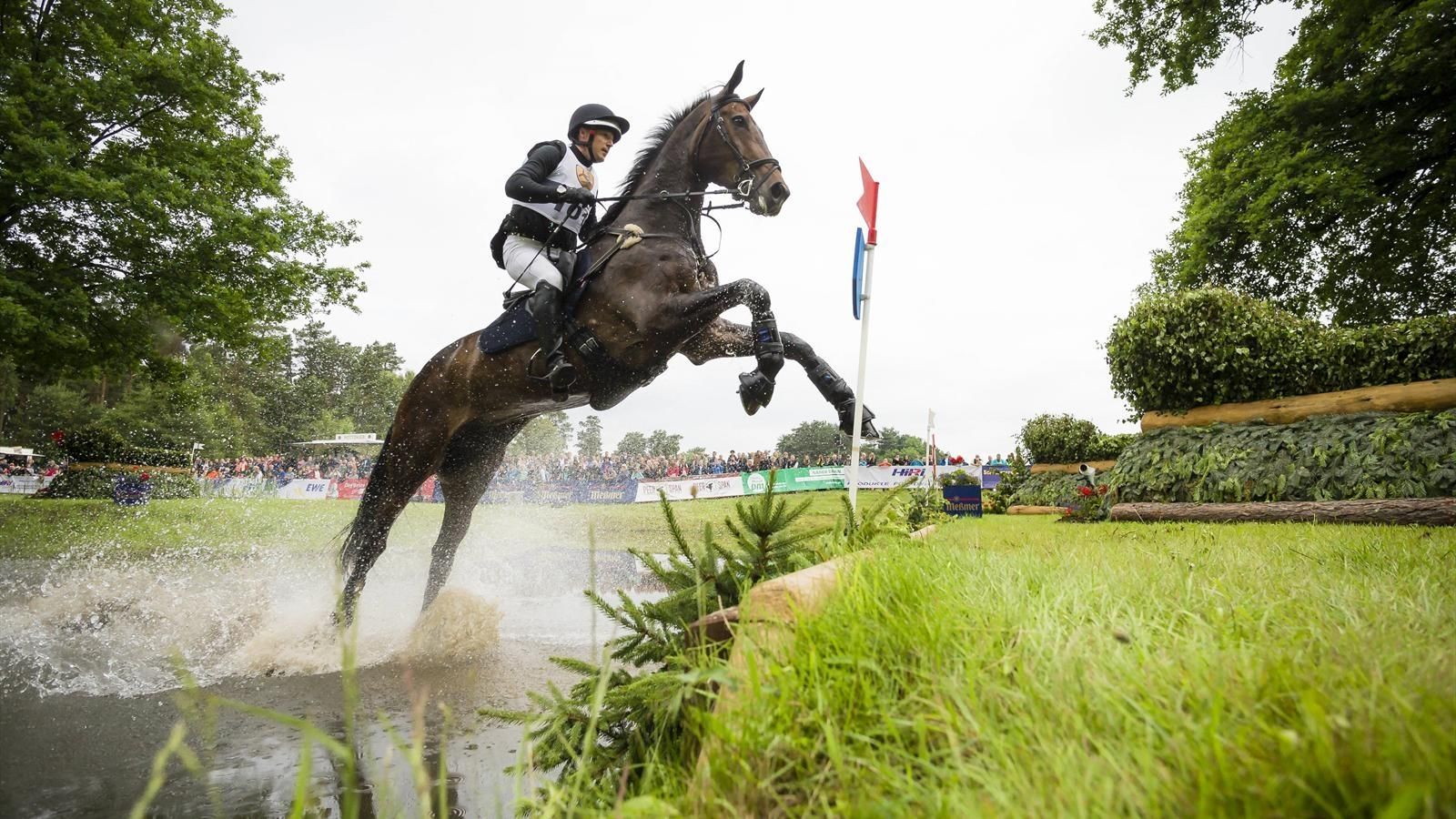 Три представительницы ЦСКА выступят на первенстве Москвы по конному троеборью