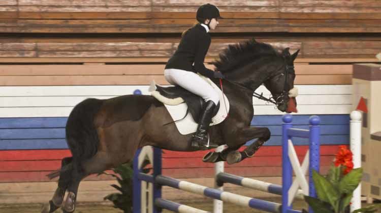 Открытое первенство СДЮШОР ЦСКА по конному спорту