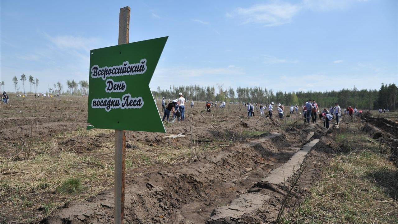 Самарский филиал ЦСКА принял участие в акции «Всероссийский день посадки леса»