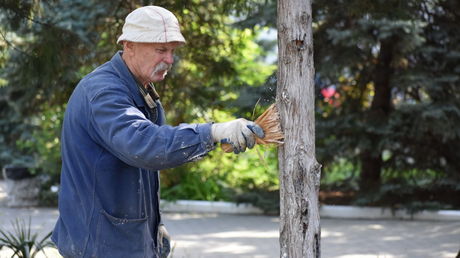 Севастопольский филиал ЦСКА принял участие во Всероссийском субботнике