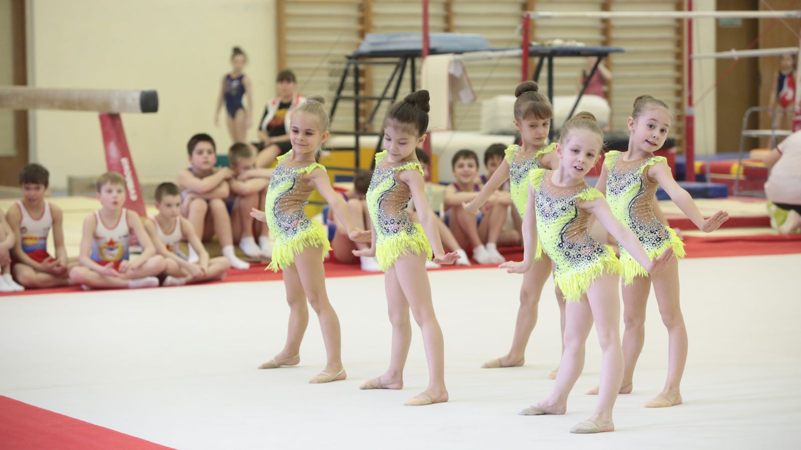 Спортивная школа (олимпийского резерва по гимнастике)