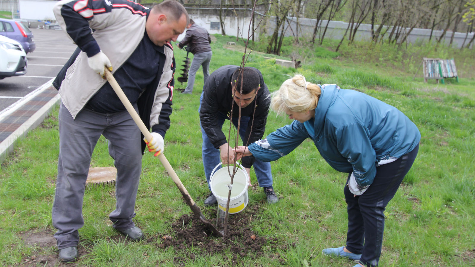 Памятную аллею высадили в ростовском филиале ЦСКА в преддверии 100-летнего юбилея спортивного клуба Армии