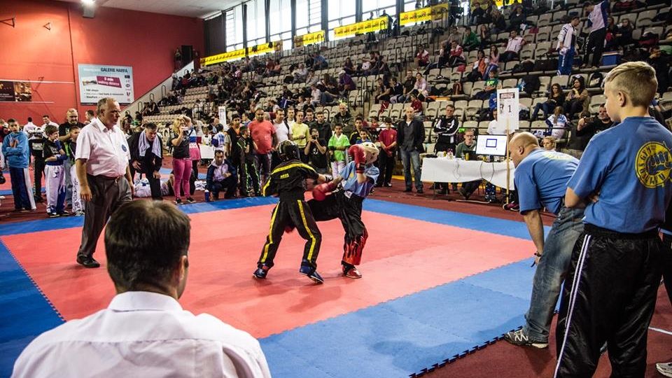 Кикбоксёры ЦСКА/СПб примут участие в турнире Czech Open 2016