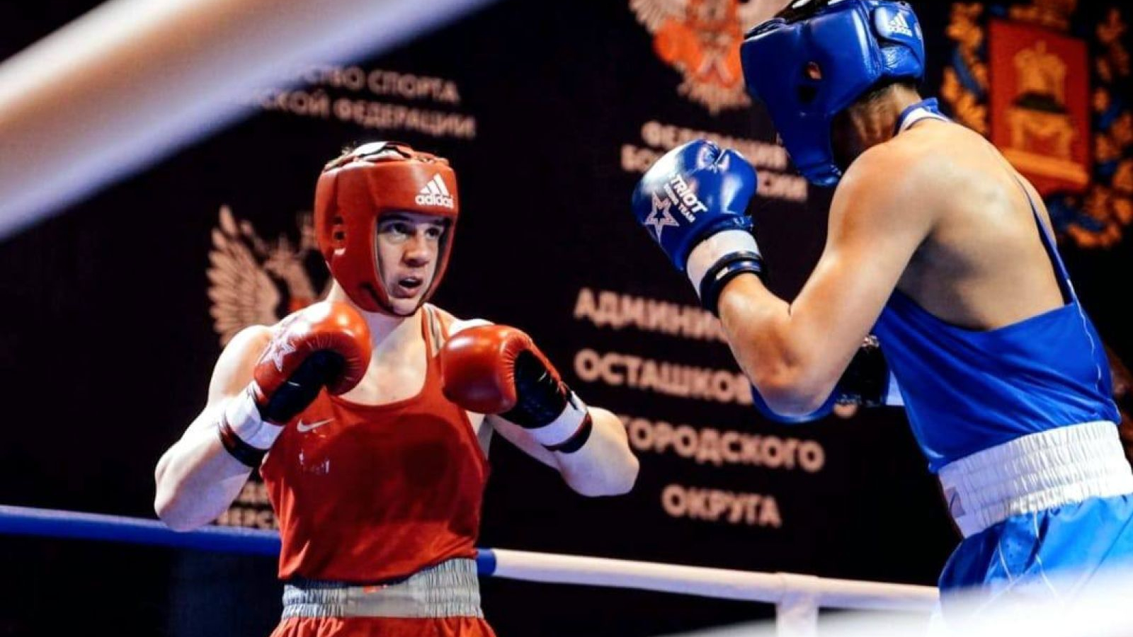 ПИТЕРСКИЙ БОКСЕР — БРОНЗОВЫЙ ПРИЗЕР ПЕРВЕНСТВА РОССИИ