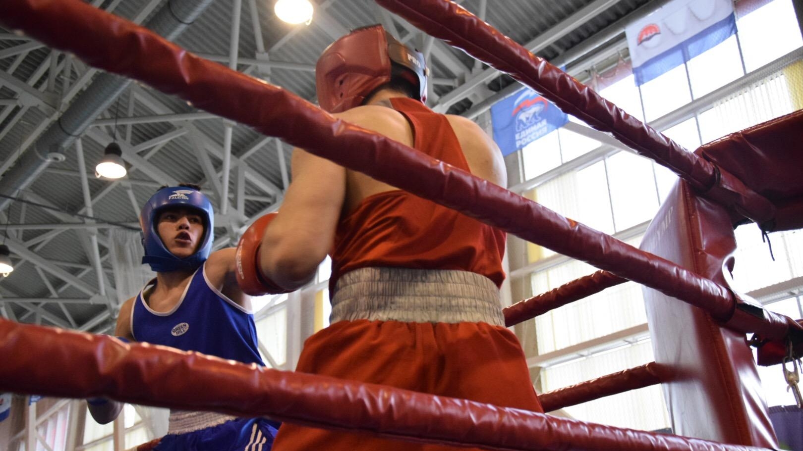 Четыре воспитанника СШ (ОРК) ЦСКА (г. Хабаровск) стали победителями и призёрами чемпионата и Первенства по боксу в Елизово