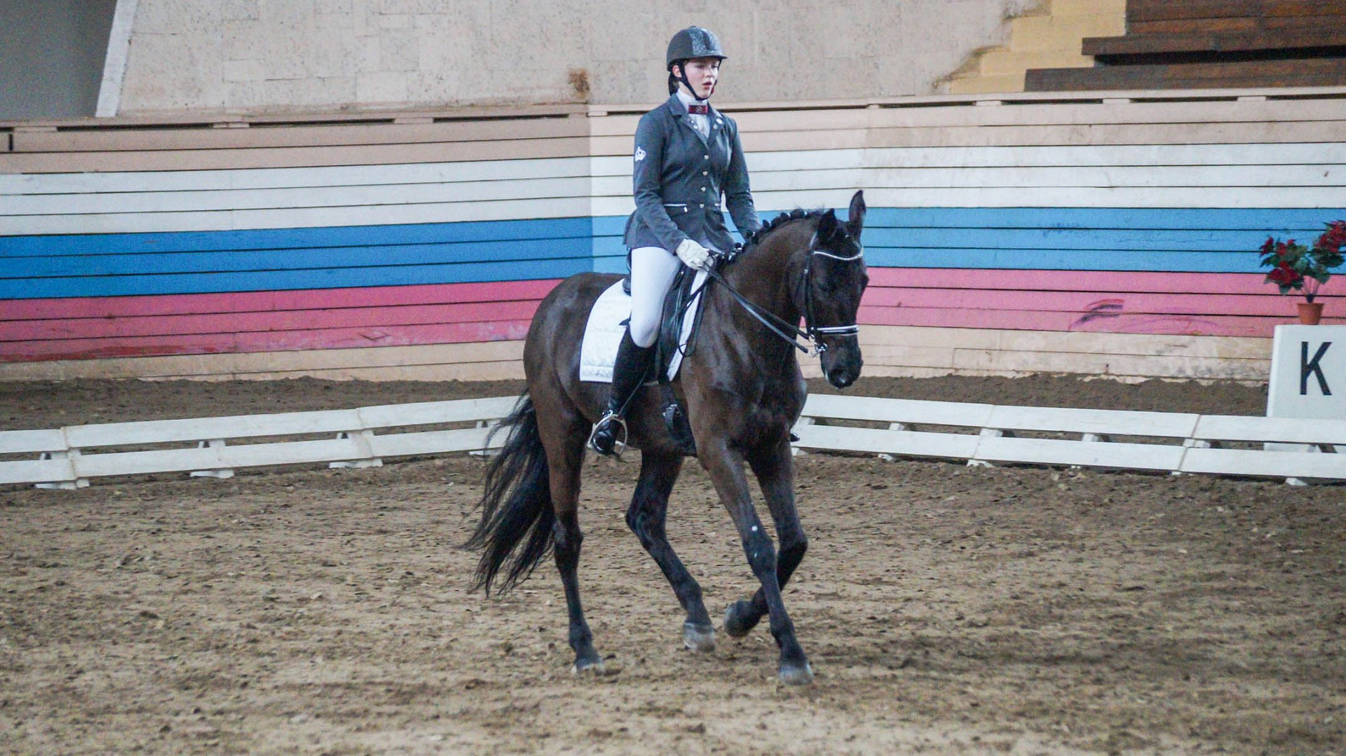 Армейцы выиграли восемь медалей на первенстве ЦСКА по выездке