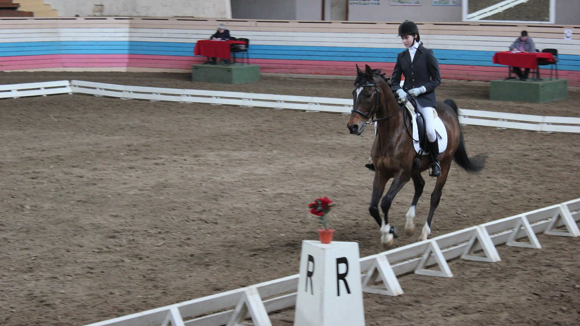 Армейцы выиграли 7 медалей на открытом первенстве СШОР ЦСКА по выездке