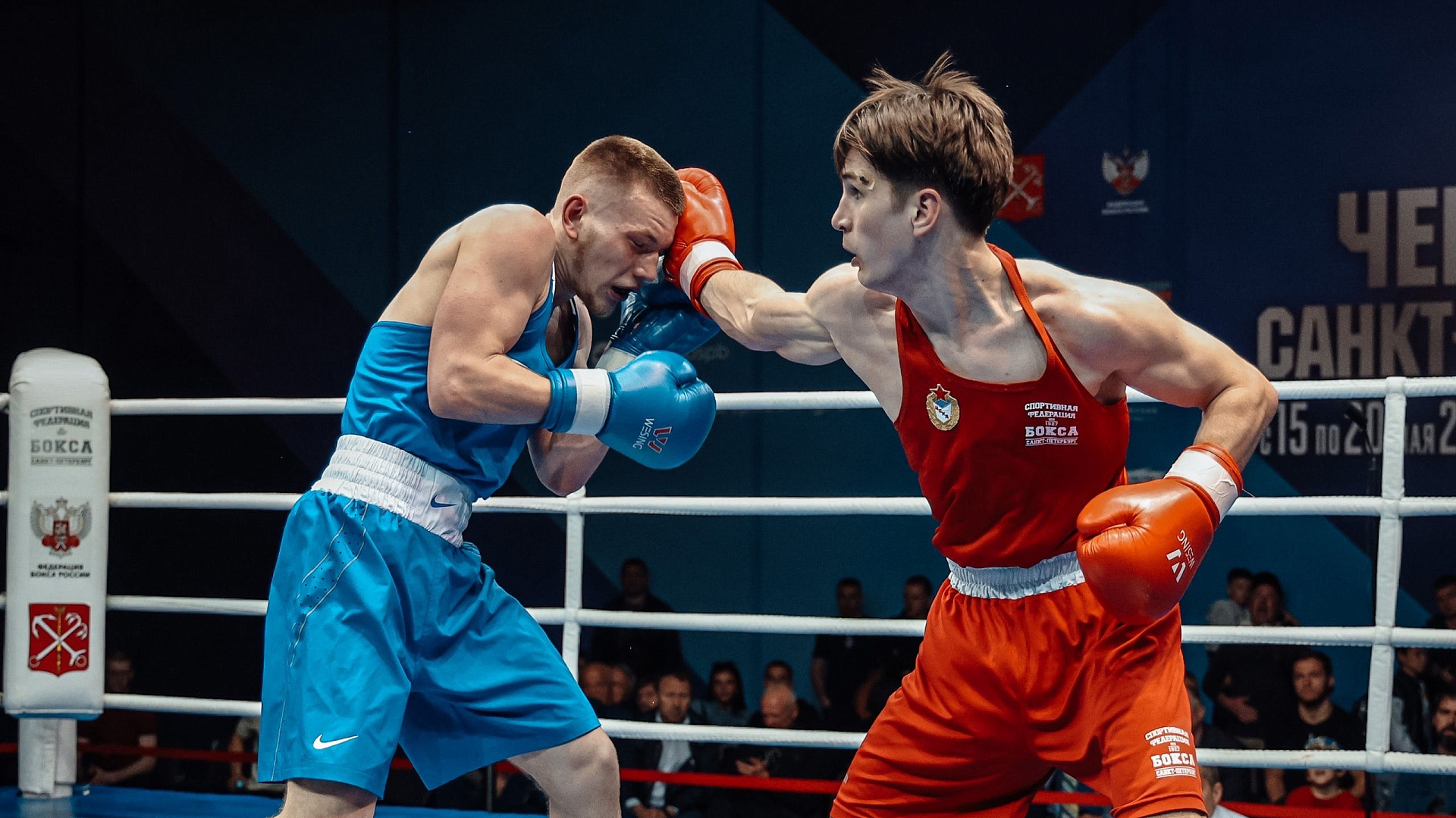 Восемь наград различного достоинства завоевали спортсмены филиала ЦСКА г. Санкт-Петербург на чемпионате города по боксу