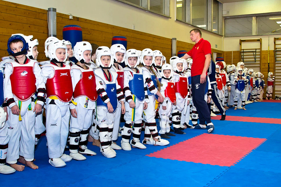 Спортивная группа по тхэквондо в спортивном комплексе (универсальный) спортивного центра (Песчаная)