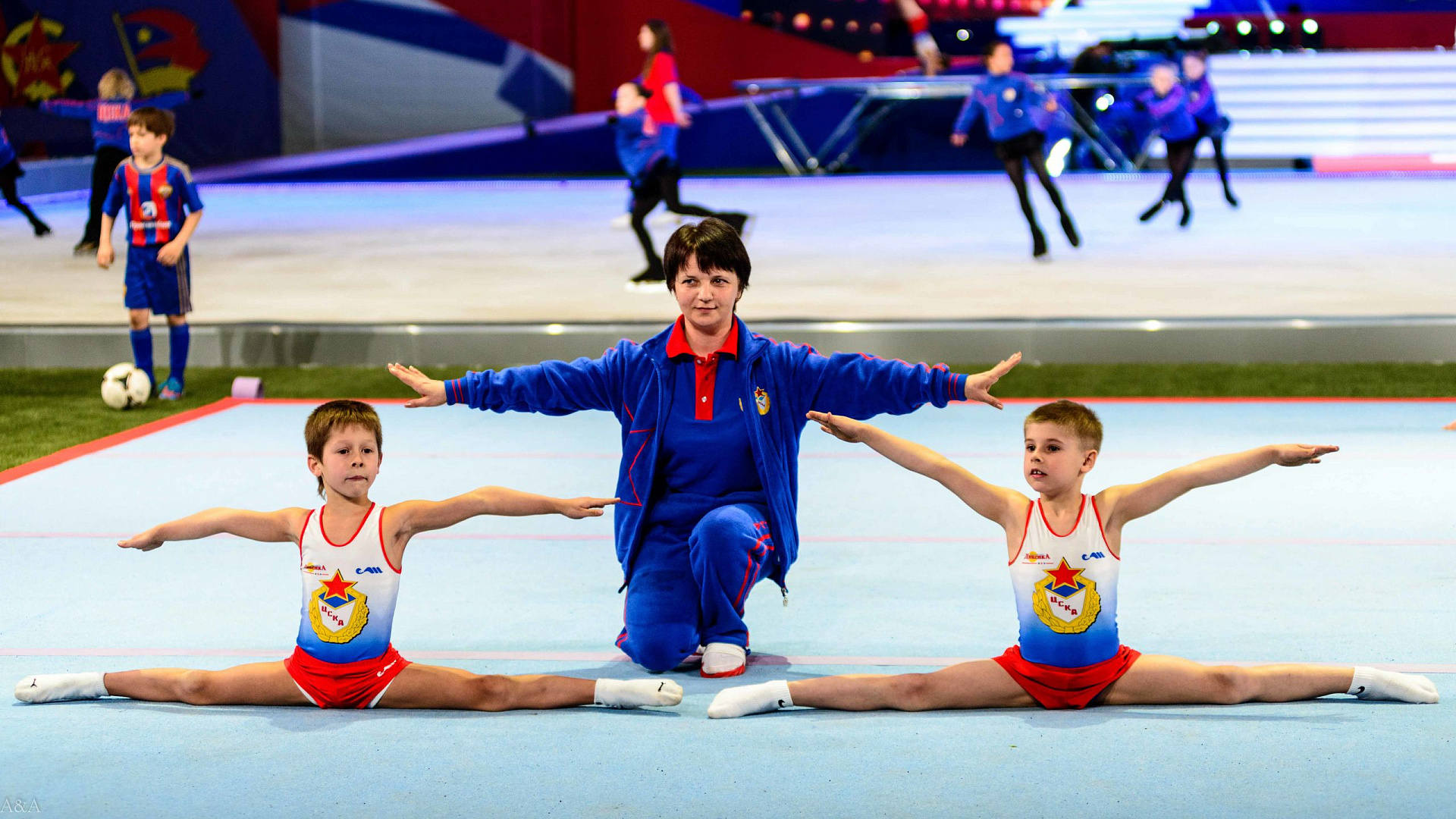 Во Владимире стартует открытое первенство Вооруженных сил России по спортивной гимнастике