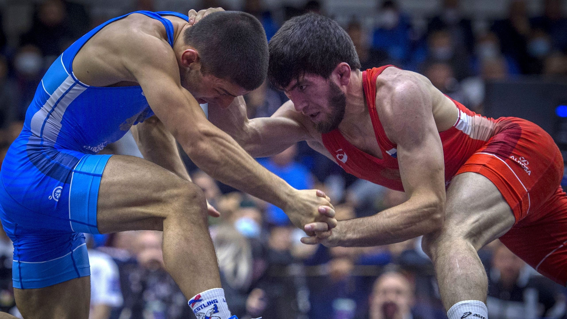 Армейцы завоевали 12 медалей на чемпионате России по вольной борьбе в Наро-Фоминске