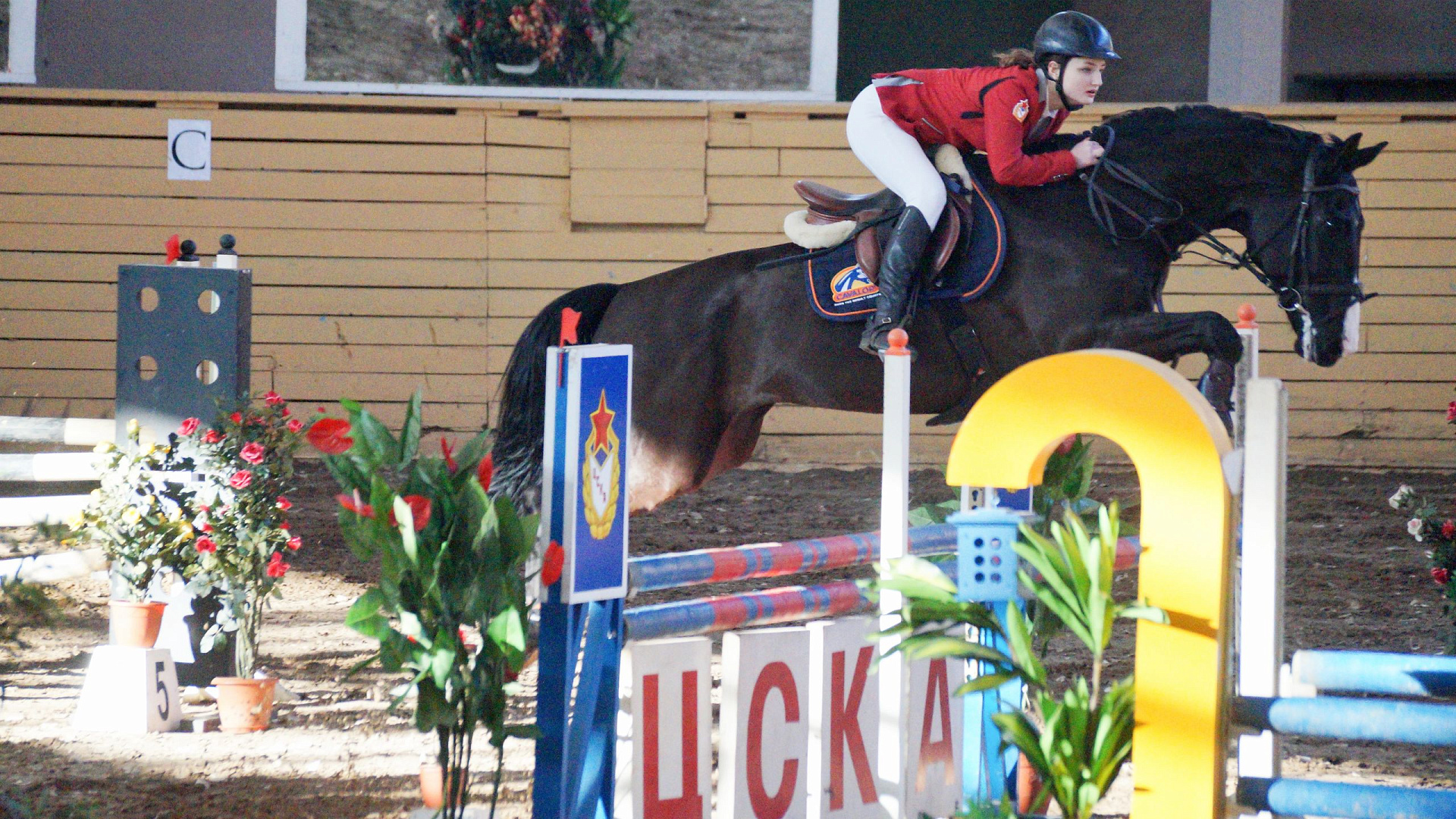 Открытый Кубок ЦСКА по конкуру посвященный Дню защитника Отечества 2018 г.