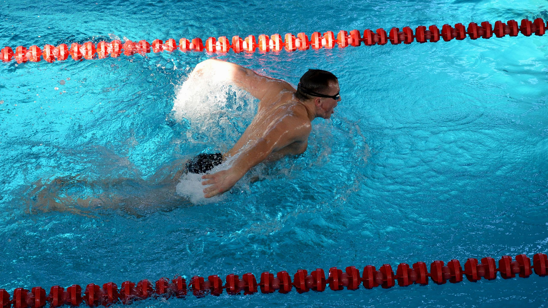 В Хабаровске прошел чемпионат ВВО по плаванию