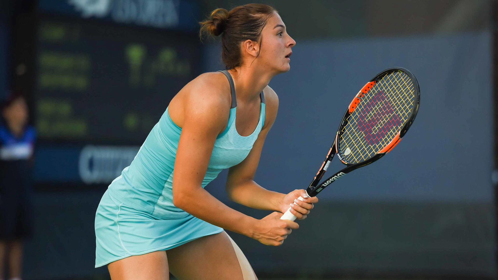 Теннисистки ЦСКА Маргарита Гаспарян и Елена Веснина выступят на Кубке Федерации