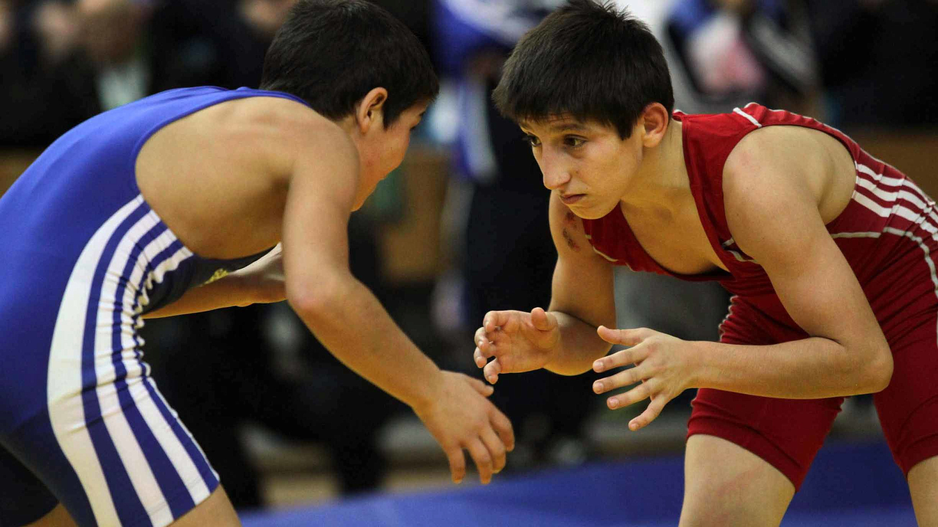 Пять спортсменов ЦСКА выступят на первенстве России по вольной борьбе