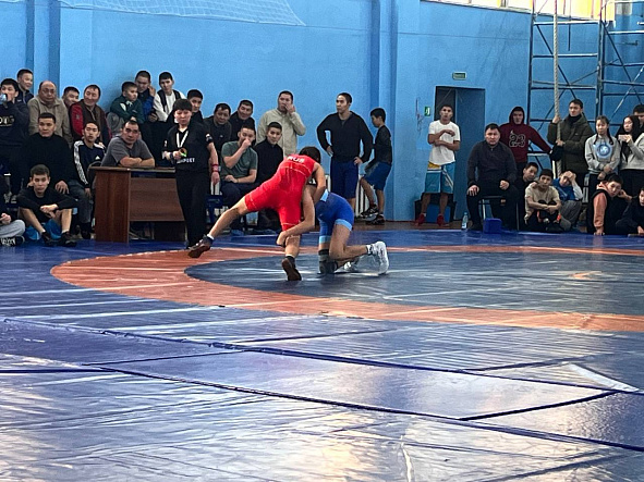 Юные армейские борцы завоевали шесть медалей первенства Республики Тыва