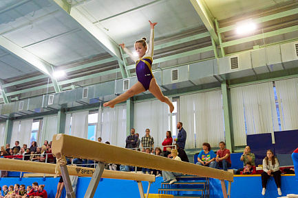 Спортивная группа по спортивной гимнастике