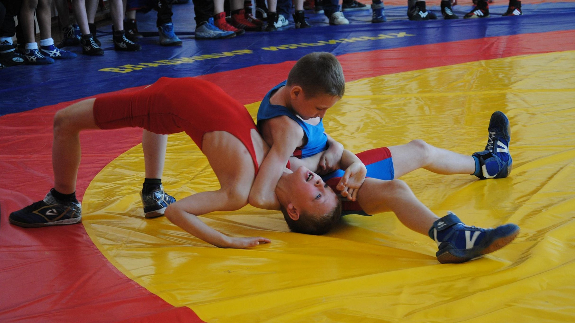 Борцы спортшколы ЦСКА/Самара завоевали три золота на Всероссийском турнире