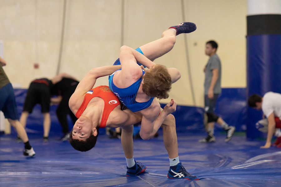 Спортивная группа по греко-римской борьбе в спортивном комплексе (универсальный) спортивного центра (Песчаная)