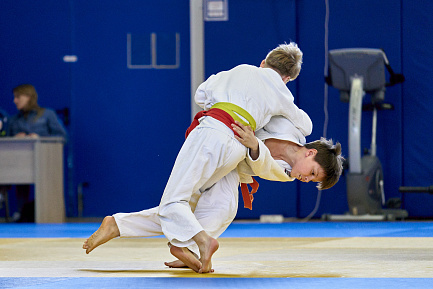 Спортивная группа по дзюдо