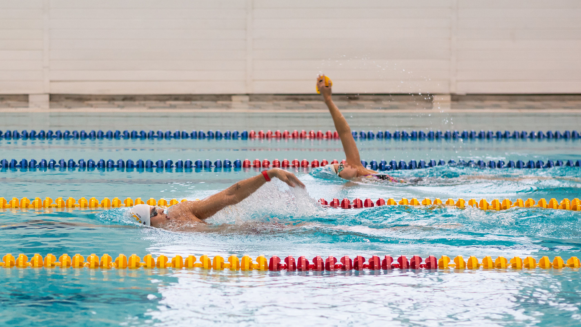 В бассейне ЦСКА/Самара прошла показательная тренировка и автограф-сессия известных российских пловцов
