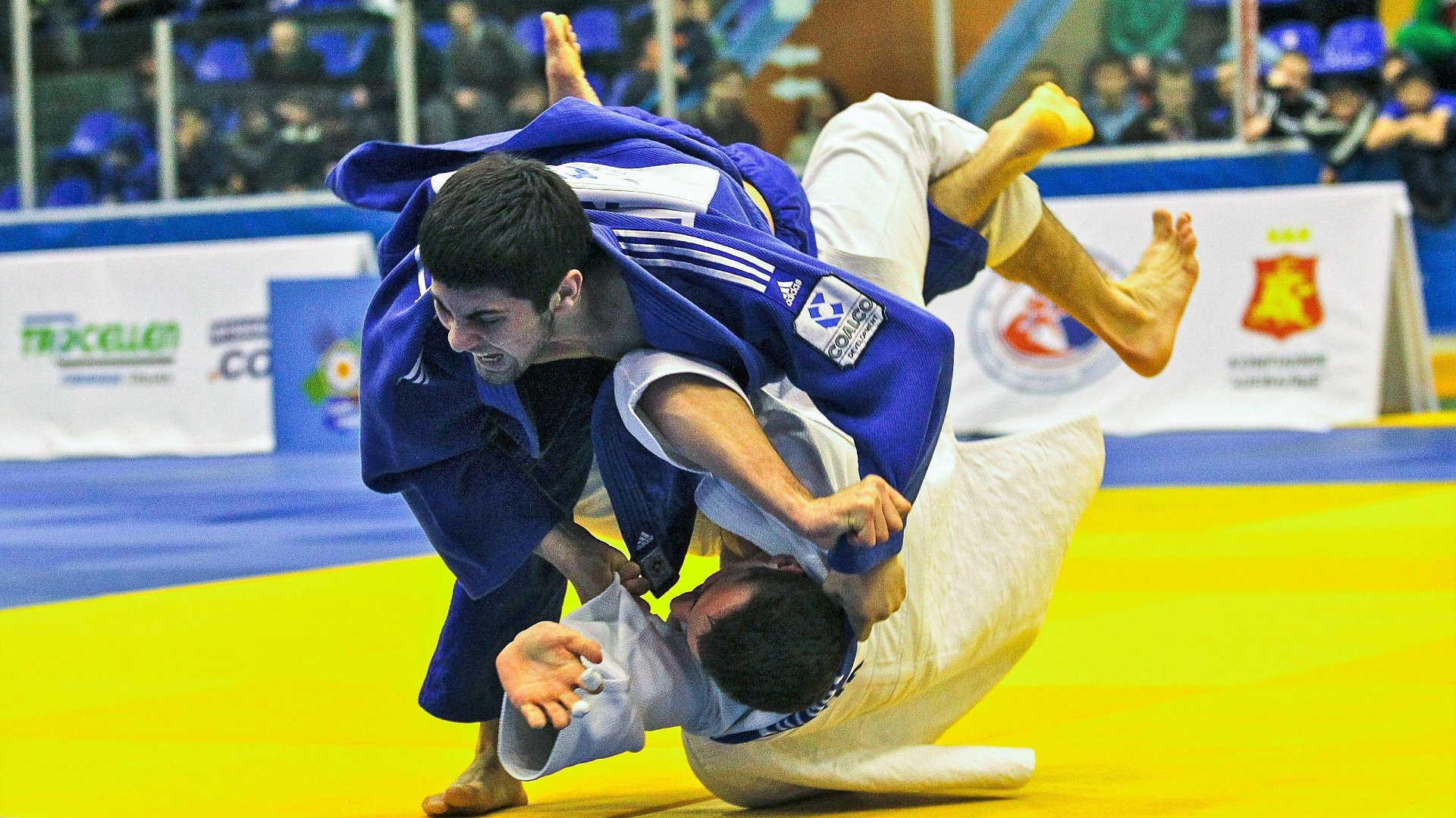 Семь спортсменов ЦСКА выступят на чемпионате Европы по дзюдо