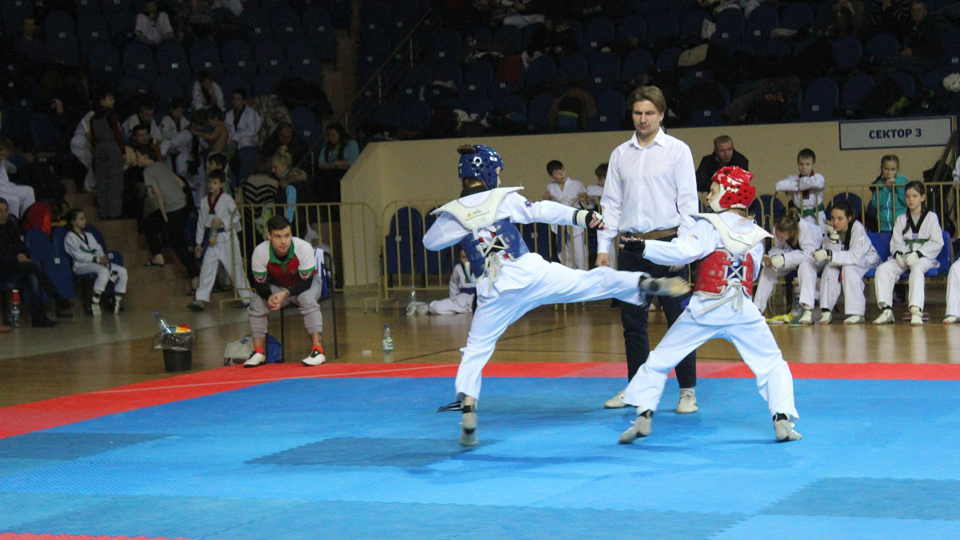 ХI Международный турнир по тхэквондо «Кубок дружбы» прошел в Смоленске
