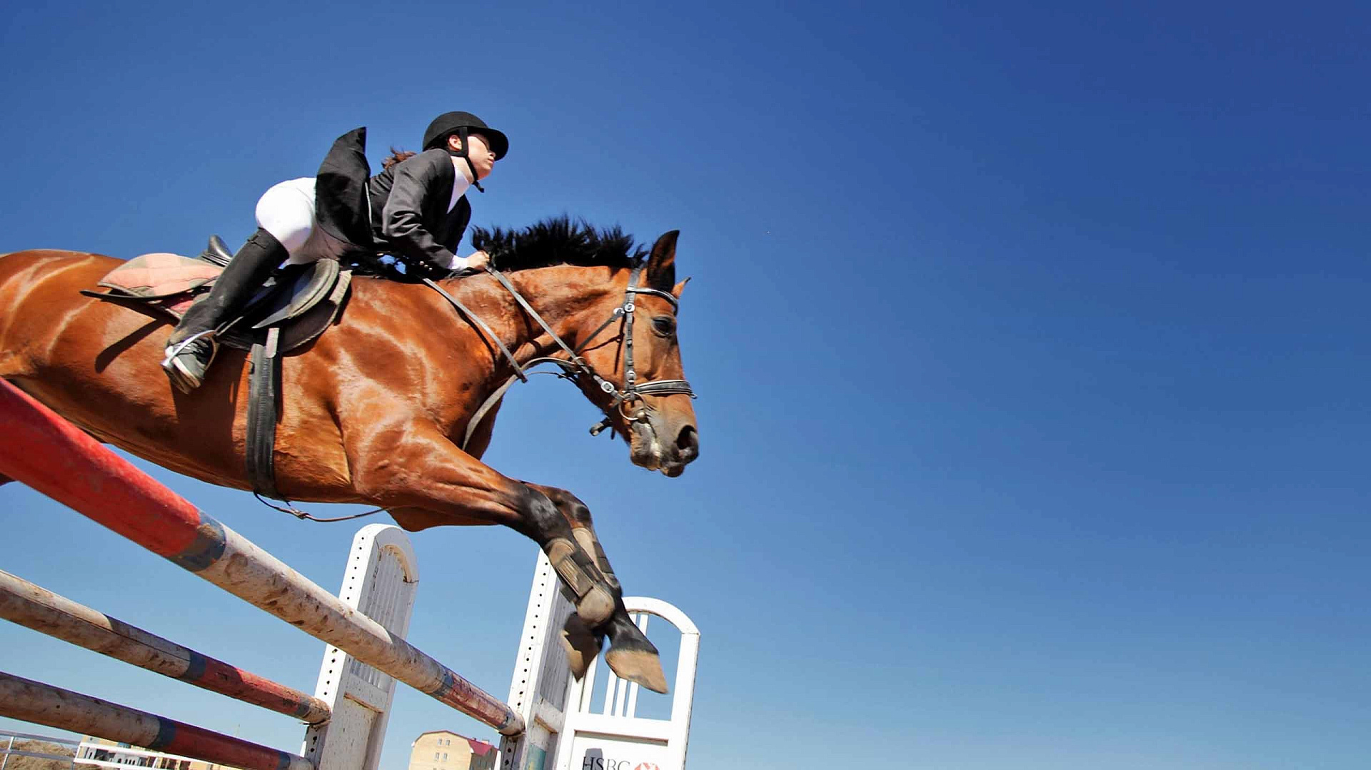 Начальник команды ЦСКА по современному пятиборью Игорь Бондарев: София Серкина – универсальный пятиборец
